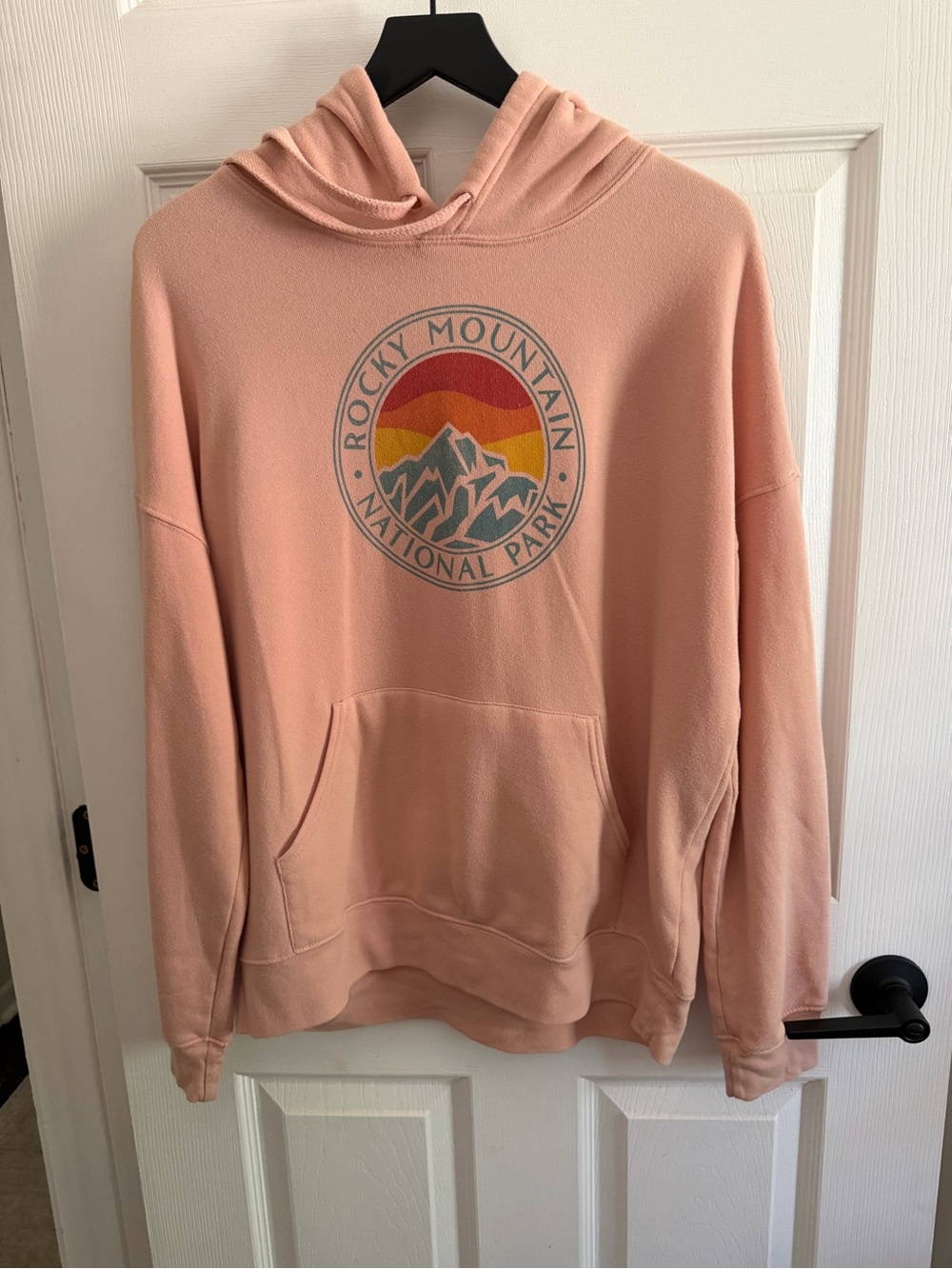 Parks Project Peach Graphic Pullover Hoodie
